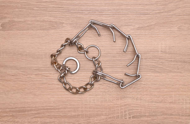 Prong Training Collar stock photo