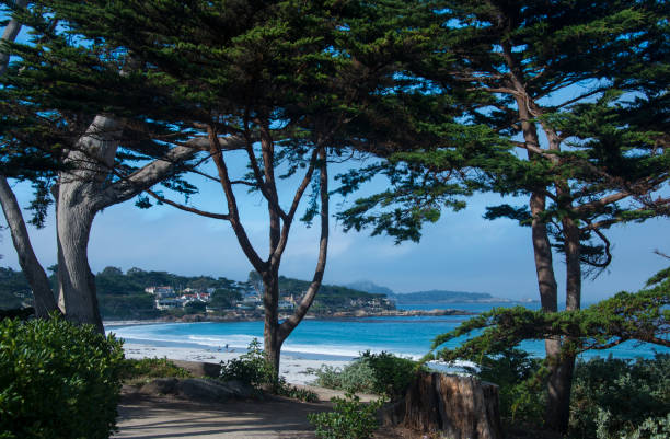 istock Pacific Costal View with wind blown cypress trees-Carmel California 1279392821