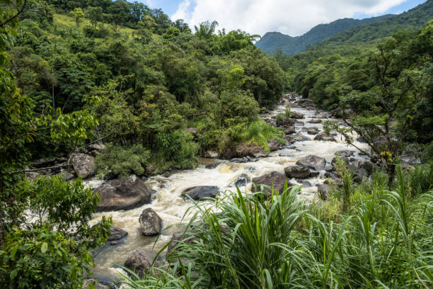 River in the middle of the Atlantic forest in Rio dos Cedros, Santa Catarina, Brazil