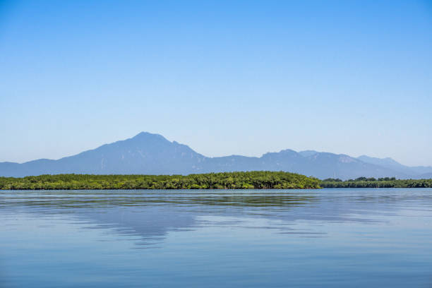 パラナグア、パラナ、ブラジルの沿岸景観 - deep focus 写真 ストックフォトと画像