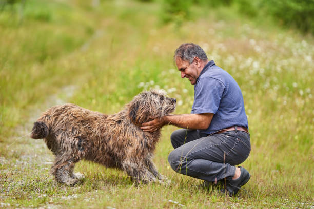 istock Man with his shepherd guard dog outdoor 1279394052