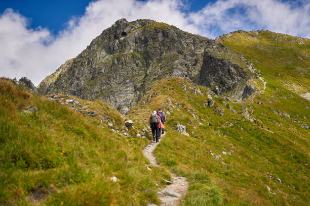 istock Highland peaks in the summer 1279394130
