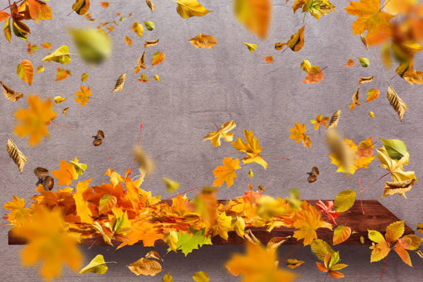 istock Autumn composition. leaves on pastel beige background. 1279397192