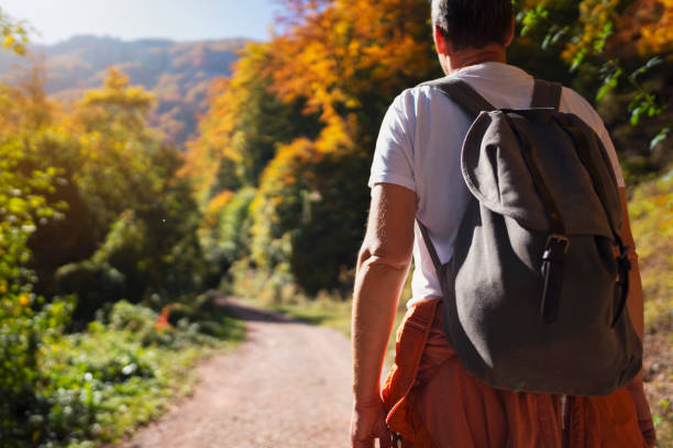 istock An unrecognizable man walking on the forest trail in autumn day 1279397515