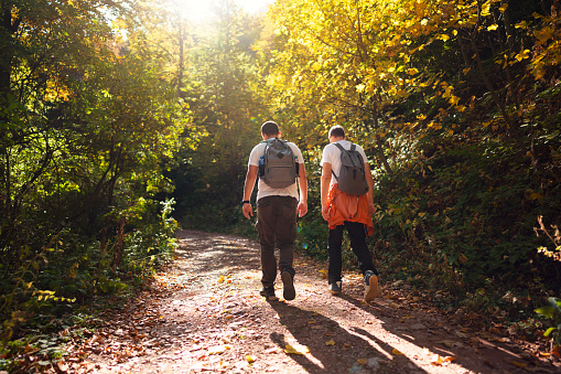 Two Caucasian men with backpacks hiking in the forest on an autumn day. Moving up the forest footpath.
