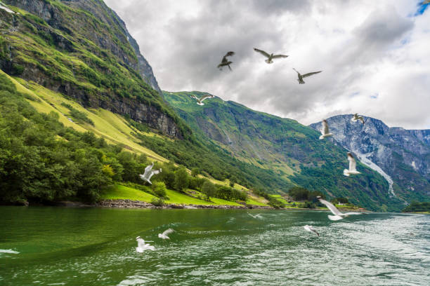 View to Sognefjord in Norway. Country landscape