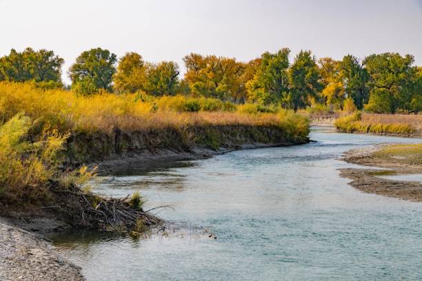 l’automne laisse la scène le long de la rivière musselshell - montana tranquil scene beauty in nature day photos et images de collection