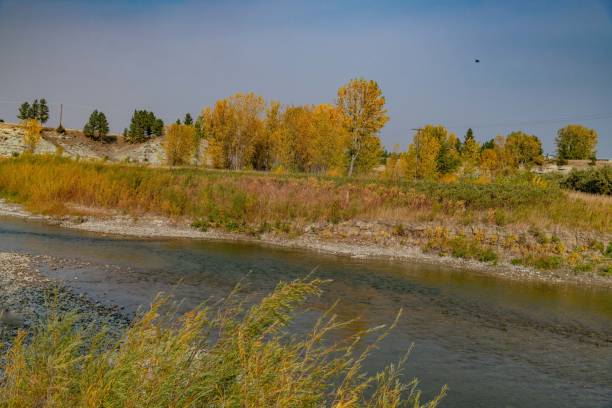 l’automne laisse la scène le long de la rivière musselshell - montana tranquil scene beauty in nature day photos et images de collection