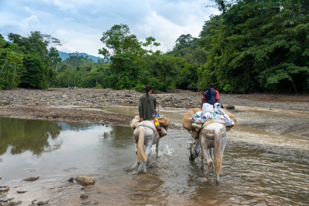 Uribante-Caparo river neart to Uribante dam in Tachira state Venezuela