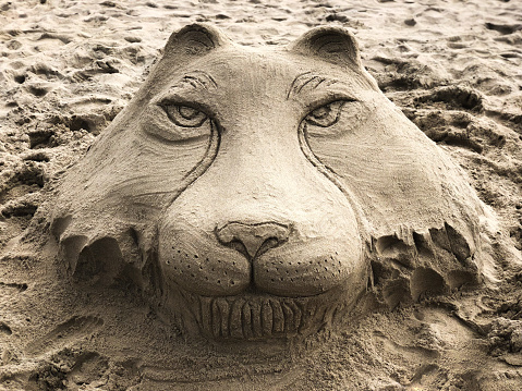 beach sand sculpture of a lion's head