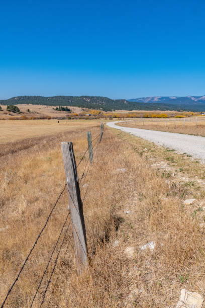 istock Dirt road through Montana prairie ranch land 1279406733