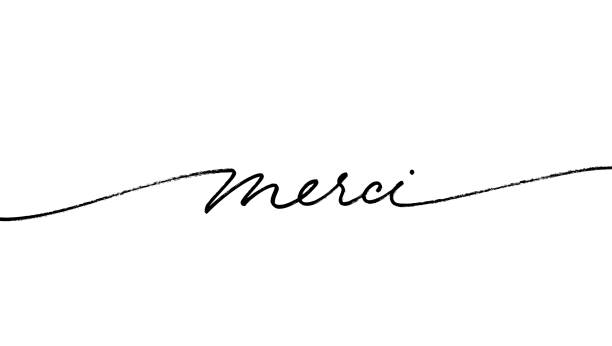 Thank you in French, ink brush style vector lettering. Merci phrase handwritten vector calligraphy with swooshes. Thank you in French, ink brush style vector lettering. Merci phrase handwritten vector calligraphy with swooshes. Modern brush lettering isolated on white background. Postcard, greeting card, t shirt grateful stock illustrations