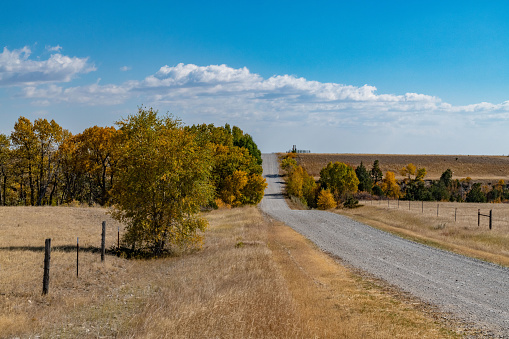 Dirt road through Montana ranch land