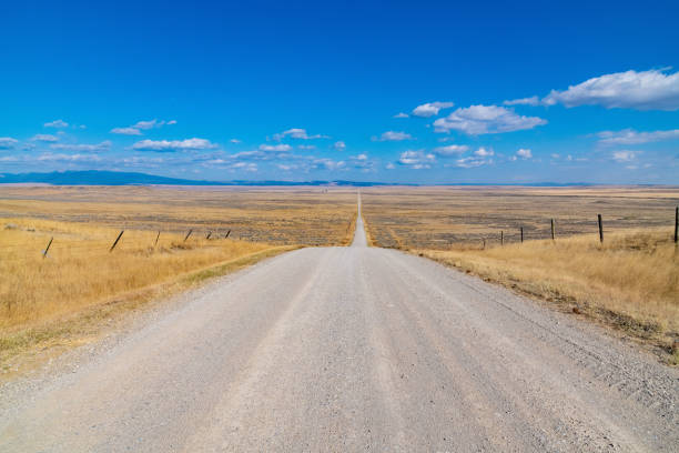istock Dirt road through Montana prairie ranch land 1279406793