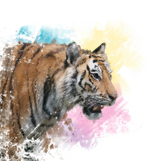 istock Tiger portrait watercolor. 1279420427