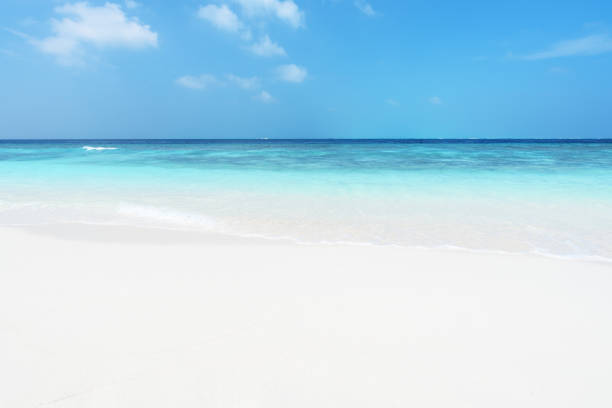 istock Sunny white beach with clear turquoise sea and blue sky background 1279422216