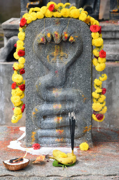 istock IndIan Traditional Snake (Naga) Pooja 1279427166