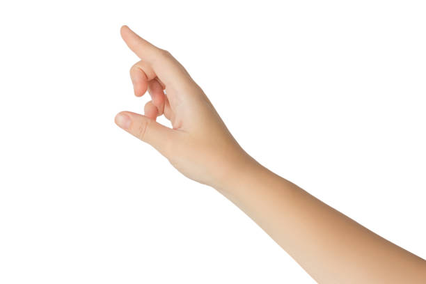 istock Female hand with pointing gesture isolated on white background. 1279433210