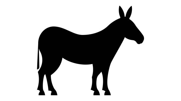 Donkey. Silhouette. Vector stock illustration Vector black Silhouette of Donkey donkey stock illustrations