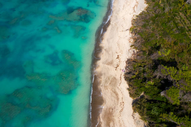 veduta aerea della spiaggia bianca in toscana, italia - marina di pisa foto e immagini stock