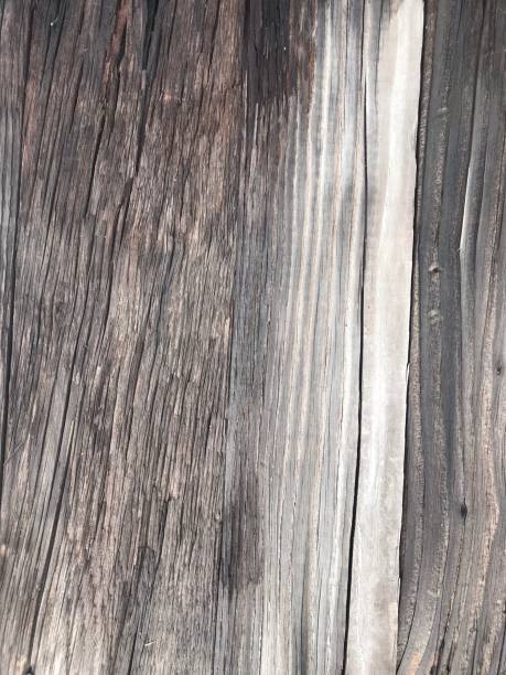 istock Brown wood background picture 1279453331