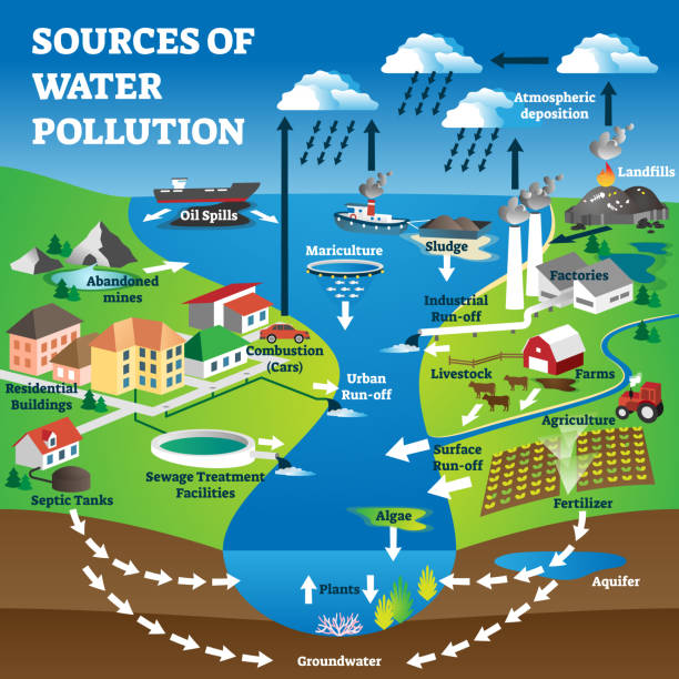 ilustrações, clipart, desenhos animados e ícones de fontes de poluição da água como contaminação de água doce causa explicação - water pollution