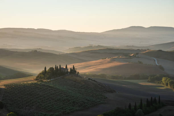 トスカーナ州ヴァル・オルチャ地方のポデレ・ベルヴェデーレ・ヴィラ、イタリア・サンライズ - val tuscany cypress tree italy ストックフォトと画像