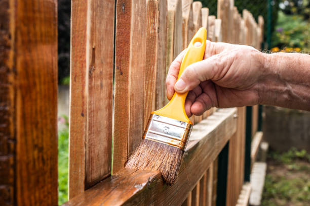 Painting picket fence by wood stain Painting wooden fence at backyard. Paintbrush in male hand. Renovation of wood picket fence. fence stock pictures, royalty-free photos & images