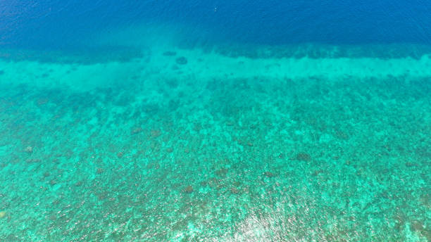 istock Sea surface in a turquoise lagoon, top view 1279459676