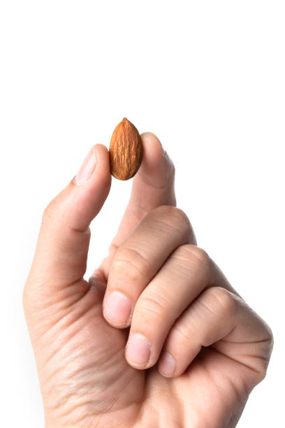 istock Almond in hand isolated 1279460792