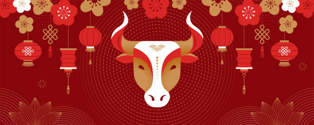 ilustrações de stock, clip art, desenhos animados e ícones de chinese new year 2021 year of the ox, chinese zodiac symbol, chinese text says "happy chinese new year 2021, year of ox" - female animal big cat undomesticated cat feline