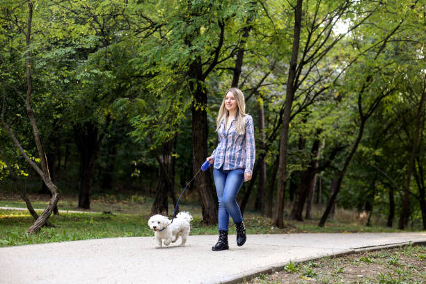 istock Young woman walking with her dog 1279464095