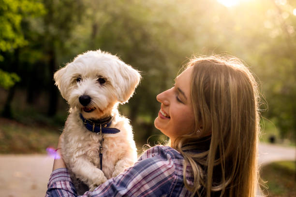 istock Young woman and her pet 1279464101