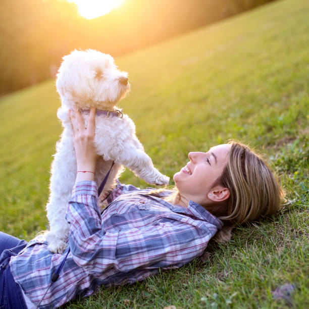 istock Young woman and her dog lying in grass 1279464190