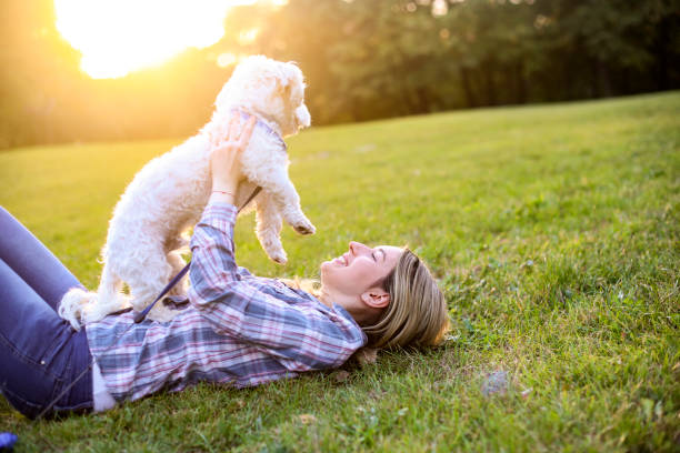 istock Smiling young woman and her dog 1279464230