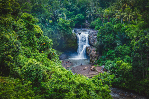 istock Beautiful waterfall with tropical plants in Bali, Indonesia 1279464945