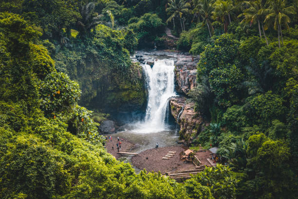 istock Beautiful waterfall with tropical plants in Bali, Indonesia 1279464959