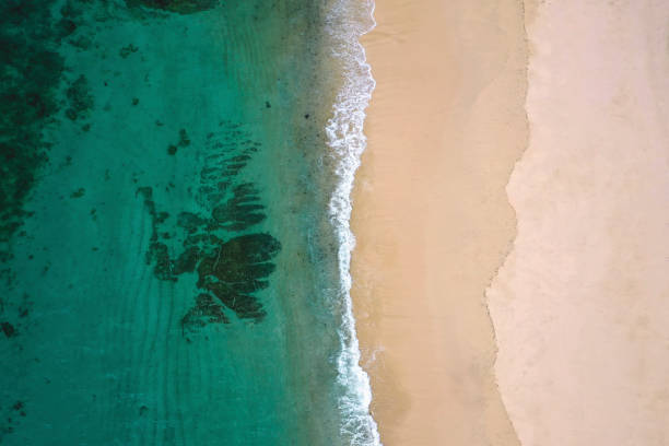 istock Beautiful tropical beach from top view 1279465074