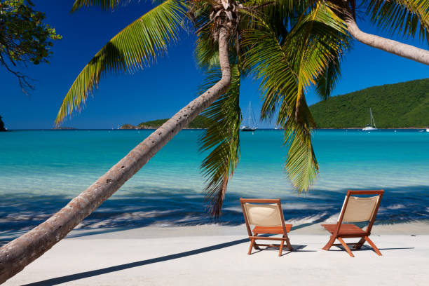 istock chairs under palm trees on a tropical beach in the Caribbean 1279466219