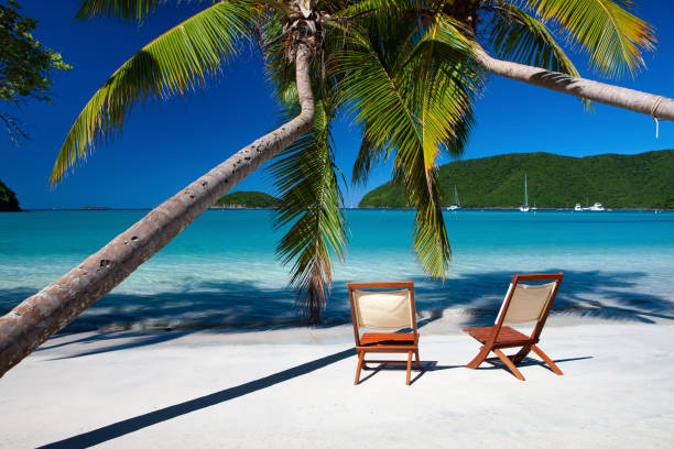 istock chairs under palm trees on a tropical beach in the Caribbean 1279466221