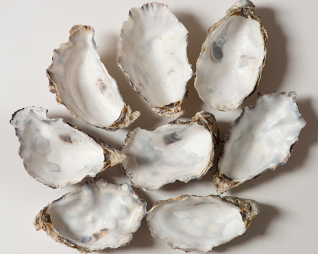 Empty oyster shells on white background, top view