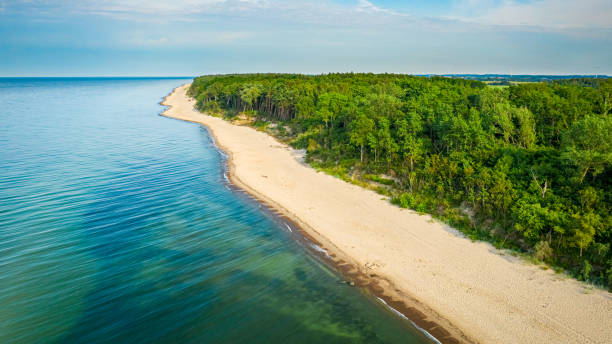 istock Empty beach in Baltic Sea in summer, aerial view 1279476124