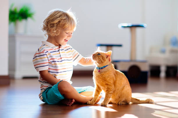 istock Child playing with cat at home. Kids and pets. 1279476685
