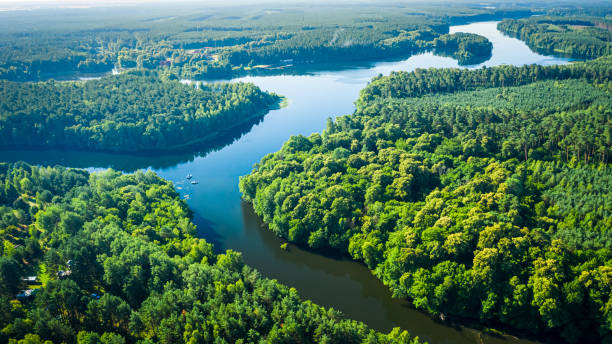 River between green forests at sunrise in summer River between green forests at sunrise in summer, aerial view bory tucholskie stock pictures, royalty-free photos & images