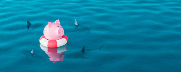 piggy bank in lifebuoy on blue sea surrounded by sharks, savings protection concept 3d render - debt finance despair water imagens e fotografias de stock