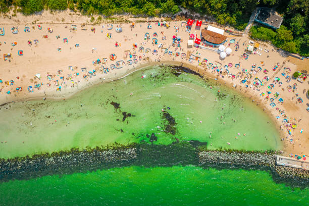istock Beach with people on Baltic Sea, Darlowko, aerial view 1279477107