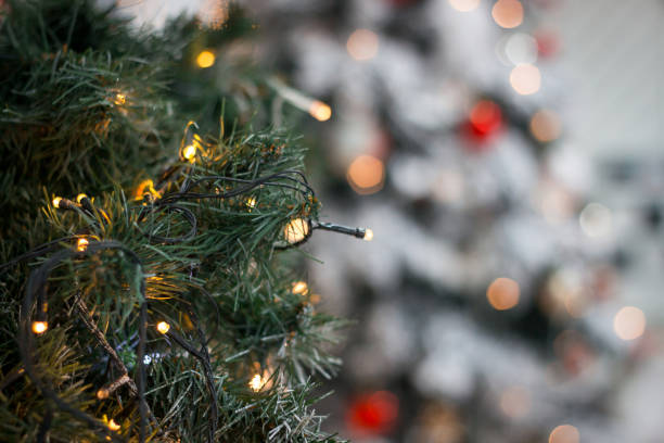 istock green Christmas tree branch in the day close up 1279479128