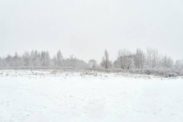 istock snowy, non-contrasting landscape in a blizzard 1279479971