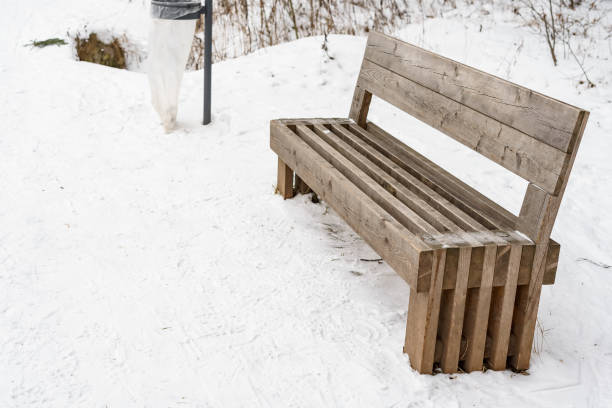 istock wooden bench in winter park 1279481107