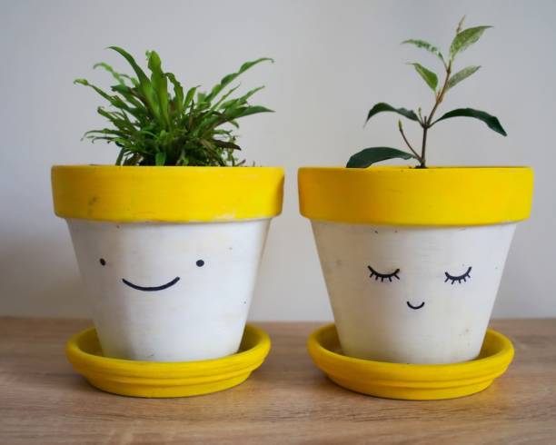 las macetas sonrientes amarillas con plantas que crecen desde la parte superior. combinando bonitas plantas de interior - face paint audio fotografías e imágenes de stock